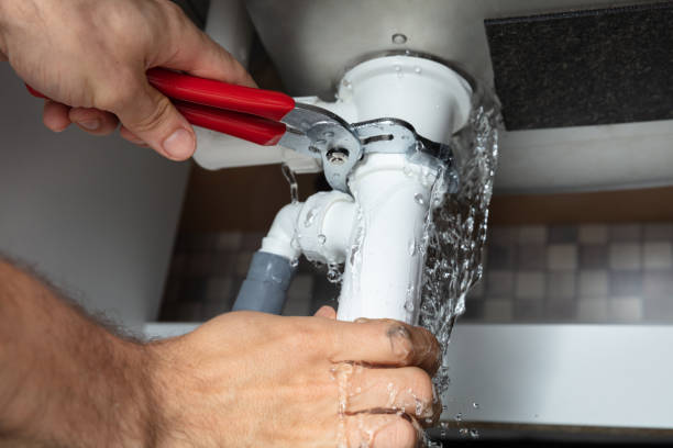 Best 24/7 water damage repair  in Hawaiian Paradise Park, HI