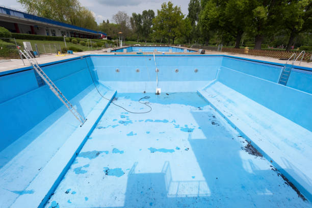 Best Basement water damage restoration  in Hawaiian Paradise Park, HI
