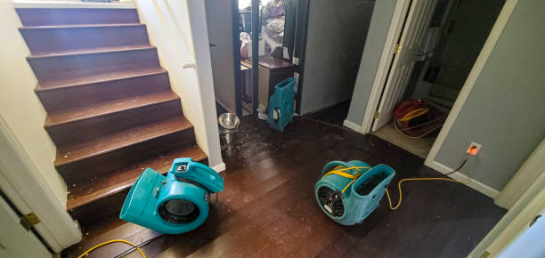 Best 24/7 water damage repair  in Hawaiian Paradise Park, HI