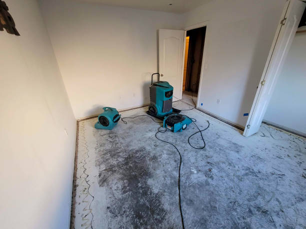 Best Professional water damage repair  in Hawaiian Paradise Park, HI