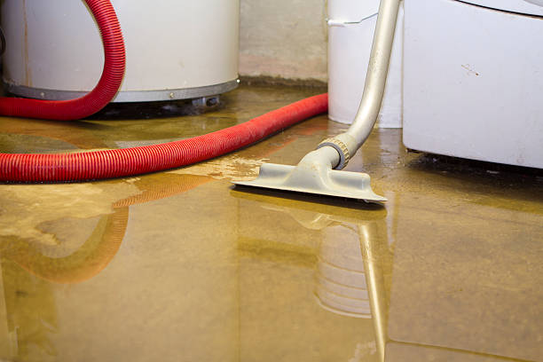 Best Commercial water damage restoration  in Hawaiian Paradise Park, HI