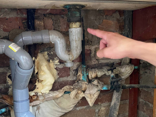 Best Ceiling water damage repair  in Hawaiian Paradise Park, HI