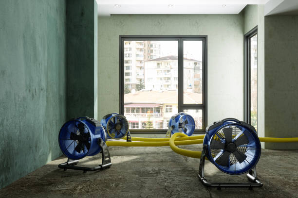 Reliable Hawaiian Paradise Park, HI Water damage restoration Solutions